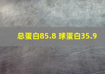 总蛋白85.8 球蛋白35.9